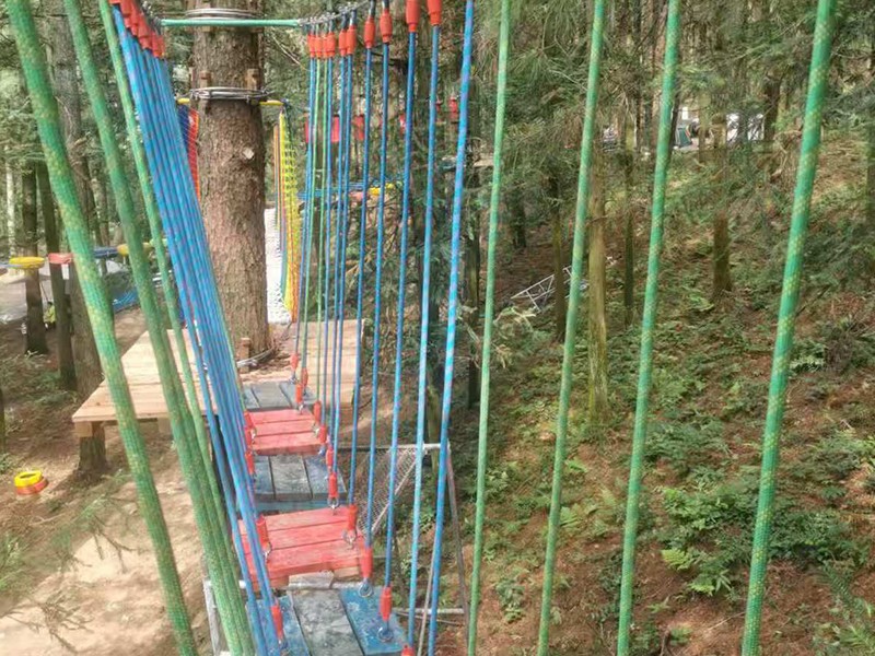 叢林穿越